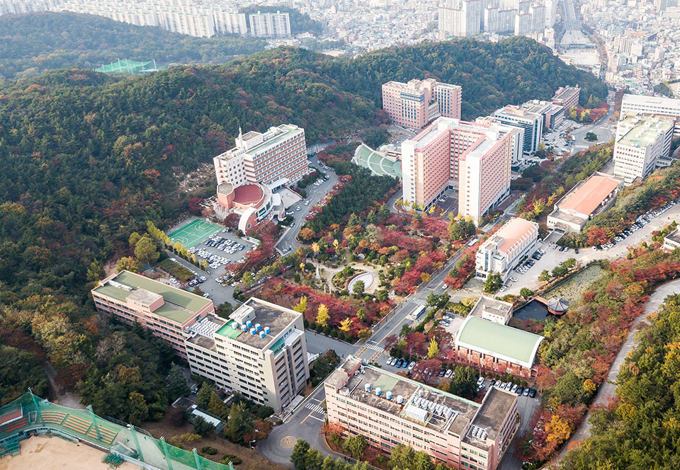 Đại học Dong-Eui (Dong-Eui University)