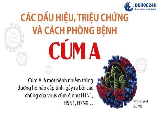 Những điều cần biết về bệnh cúm A/H5N1, H7N9